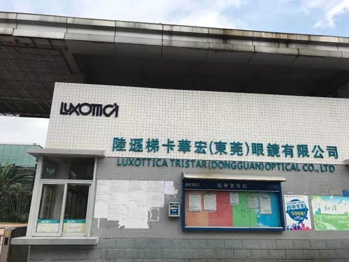 即刻开拍 压轴 业内唯一正货 雷 朋rb4246系列光学记忆镜架 80周年首席设计师最新力作 限量发行,陆逊迪卡华宏公司渠道货