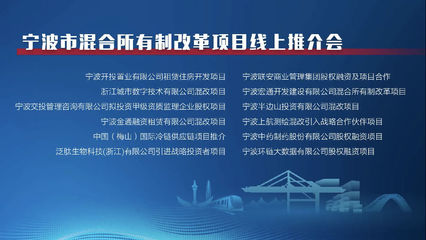 宁波市首届混改项目线上推介会成功举办，宏通集团项目备受瞩目